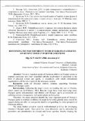 Ескіз